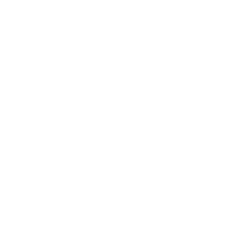 home icon